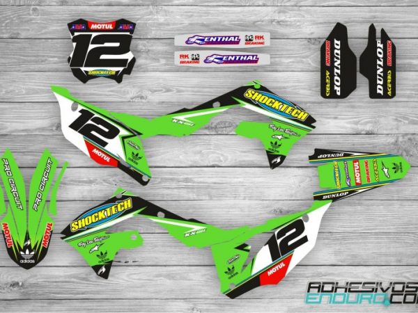 Kit Adhesivos Kawasaki ShockTech