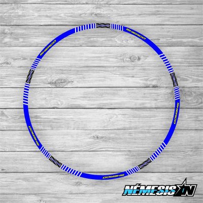 Kit de adhesivos para llantas Sherco